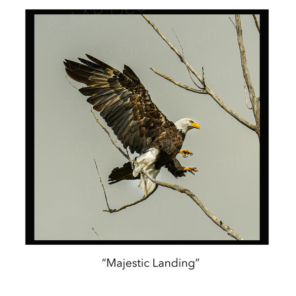 Majestic Landing