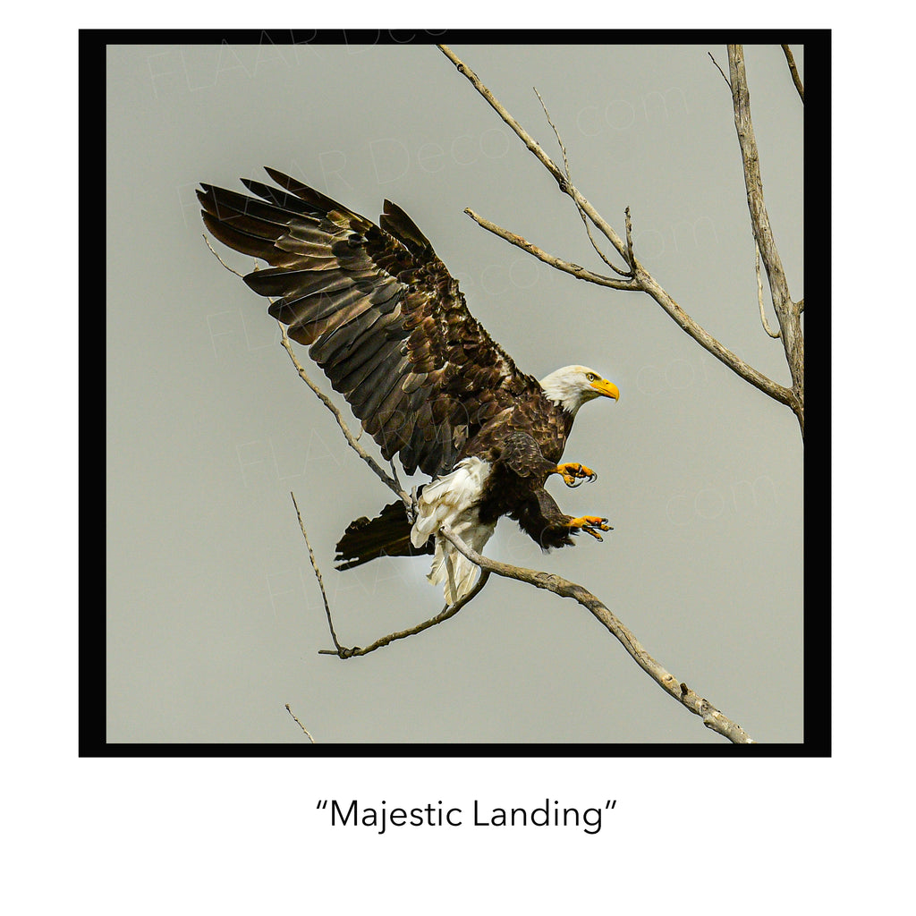 Majestic Landing