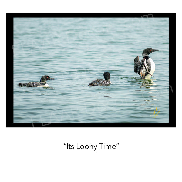 It's Loony Time