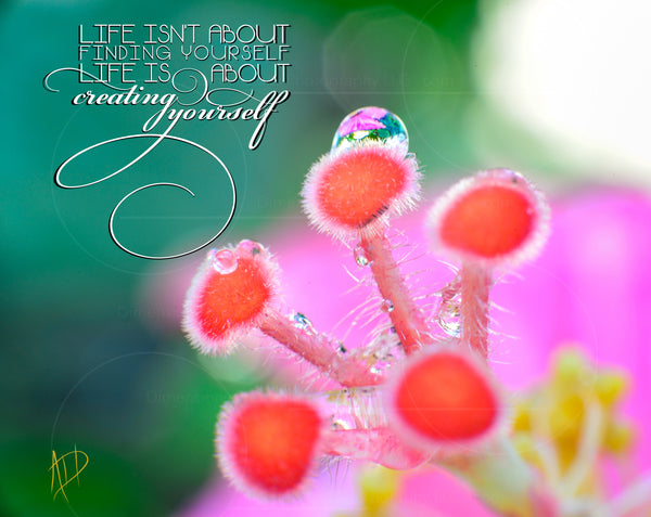 Create Yourself