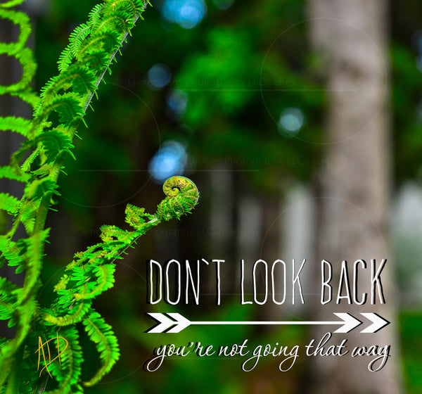 Don't Look Back